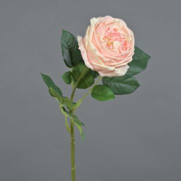 Rosa artificial «Kohl-Rose» CATINCA, rosa pálido, 60 cm, Ø 9 cm Rosa artificial «Kohl-Rose» CATINCA, rosa pálido, 60 cm, Ø 9 cm