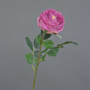 Rosa artificial «Kohl-Rose» CATINCA, rosa, 60 cm, Ø 9 cm Rosa artificial «Kohl-Rose» CATINCA, rosa, 60 cm, Ø 9 cm