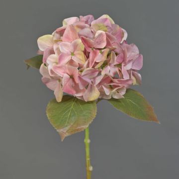 Hortensia artificial AMARILDO, rosa y amarillo, 50 cm, Ø 16 cm Hortensia artificial AMARILDO, rosa y amarillo, 50 cm, Ø 16 cm