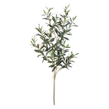 Rama de olivo artificial LORRIS, ignífuga, verde, 110 cm Rama de olivo artificial LORRIS, ignífuga, verde, 110 cm