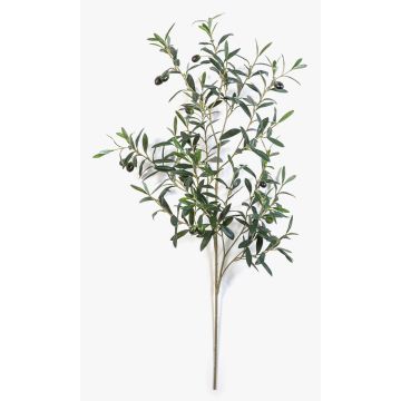 Rama de olivo artificial LORRIS, con frutos, verde, 110 cm Rama de olivo artificial LORRIS, con frutos, verde, 110 cm