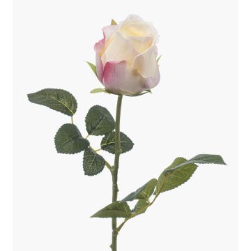 Rosa artificial DIXLEN, blanco-rosa, 70 cm, Ø 7 cm Rosa artificial DIXLEN, blanco-rosa, 70 cm, Ø 7 cm