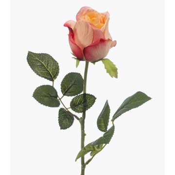 Rosa artificial DIXLEN, rosa melocotón, 70 cm, Ø 7 cm Rosa artificial DIXLEN, rosa melocotón, 70 cm, Ø 7 cm