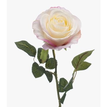 Rosa artificial BRUNETTE, blanco-rosa, 70 cm, Ø 11 cm Rosa artificial BRUNETTE, blanco-rosa, 70 cm, Ø 11 cm