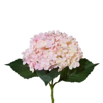 Flor sintético de hortensia ZURTO, rosa claro, 55cm Flor sintético de hortensia ZURTO, rosa claro, 55cm