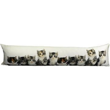 Paravientos decorativo WEIDER con motivo de gatito, multicolor y blanco, 90 x 20 x 10 cm Paravientos decorativo WEIDER con motivo de gatito, multicolor y blanco, 90 x 20 x 10 cm