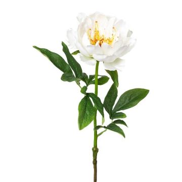 Flor de plástico de peonía PEFIN, blanca, 50 cm Flor de plástico de peonía PEFIN, blanca, 50 cm