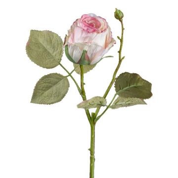 Flor decorativa rosa ZORKLIN, rosa-crema, 45cm, Ø6,5cm Flor decorativa rosa ZORKLIN, rosa-crema, 45cm, Ø6,5cm