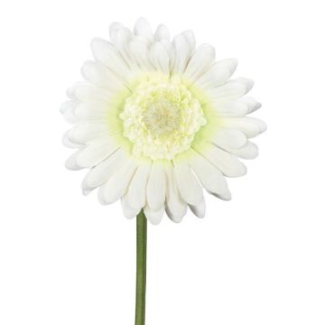 Flor artificial Gerbera TUNZA, color crema, 50cm Flor artificial Gerbera TUNZA, color crema, 50cm