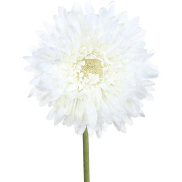 Flor artificial Gerbera MOLZA, blanca, 60 cm Flor artificial Gerbera MOLZA, blanca, 60 cm