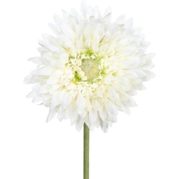 Flor artificial Gerbera MOLZA, color crema, 60 cm Flor artificial Gerbera MOLZA, color crema, 60 cm