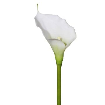 Calla artificial GOLMA, blanca, 70 cm Calla artificial GOLMA, blanca, 70 cm