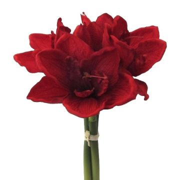Ramo de flores sintéticos de amarilis LOMIRE, rojo, 30cm