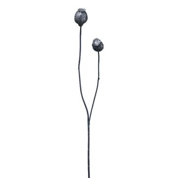 Rama artificial de cápsulas de amapola ORIONLA, azul oscuro, 65 cm, Ø 3,5-4 cm Rama artificial de cápsulas de amapola ORIONLA, azul oscuro, 65 cm, Ø 3,5-4 cm