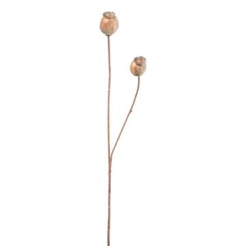 Rama artificial con cápsulas de amapola ORIONLA, marrón claro, 65cm, Ø3,5-4cm Rama artificial con cápsulas de amapola ORIONLA, marrón claro, 65cm, Ø3,5-4cm