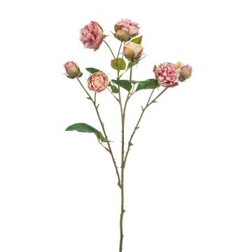 Rama decorativa de rosa col TRUVOL, rosa-crema, 65 cm, Ø 2-6 cm