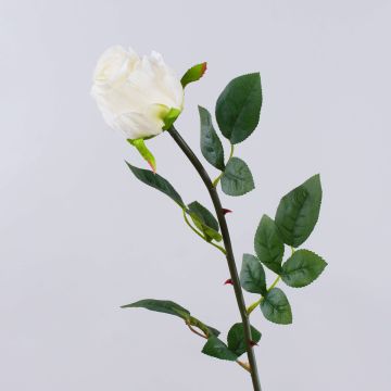 Rosa artificial SUNJIK, color crema, 75 cm, Ø 7 cm