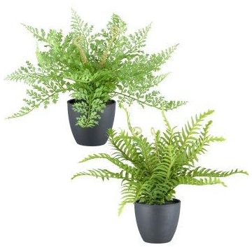 Mezcla de helechos artificiales REFIL, helecho espada, helecho de pelo de mujer, 2 unidades, maceta decorativa, verde, 30 cm, Ø 35 cm