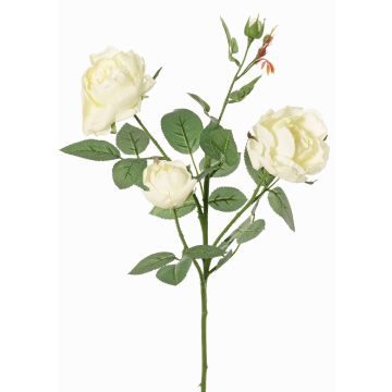 Rama de rosa artificial DIAMANTIS, color crema, 70 cm, Ø 5-8 cm Rama de rosa artificial DIAMANTIS, color crema, 70 cm, Ø 5-8 cm