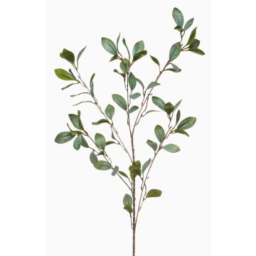 Rama decorativa de eucalipto MERKAN, verde-gris, 90 cm Rama decorativa de eucalipto MERKAN, verde-gris, 90 cm