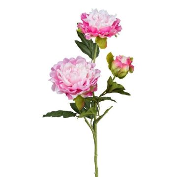 Rama artificial de peonía SLORMEK, rosa y blanco, 65 cm Rama artificial de peonía SLORMEK, rosa y blanco, 65 cm