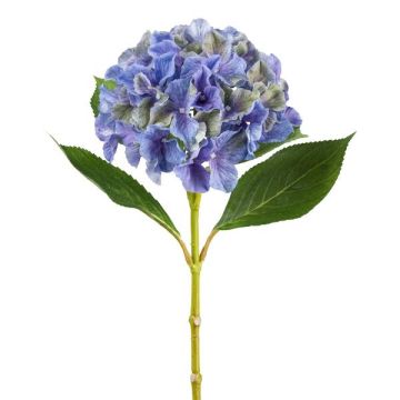 Flor decorativa de hortensia FUSTRAL, azul-verde, 65 cm, Ø 18 cm