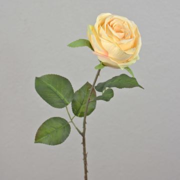 Rosa sintética FINAKAS, crema-amarillo, 65cm, Ø9cm Rosa sintética FINAKAS, crema-amarillo, 65cm, Ø9cm