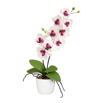 Orquídea Phalaenopsis de tela MORLEK, maceta de cerámica, raíces, blanco y lila, 60 cm