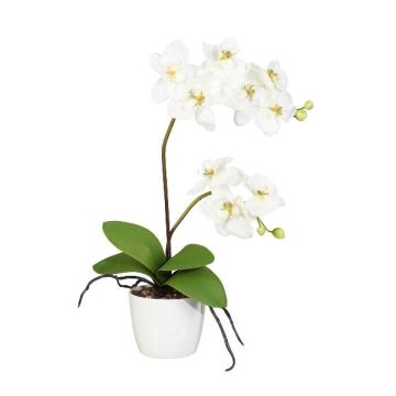 Orquídea Phalaenopsis de tela MORLEK, maceta de cerámica, raíces, color crema, 60 cm