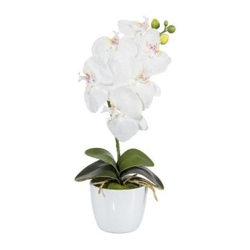 Orquídea Phalaenopsis de tela DRINTOR, maceta de cerámica, raíces, blanca, 40cm Orquídea Phalaenopsis de tela DRINTOR, maceta de cerámica, raíces, blanca, 40cm