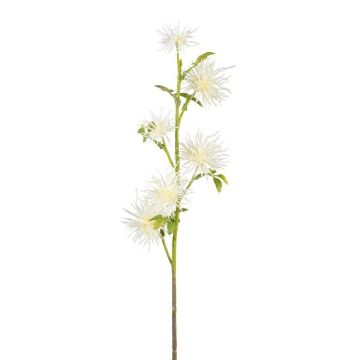 Rama decorativa de cardo esférico ZORLIM, blanco, 55 cm
