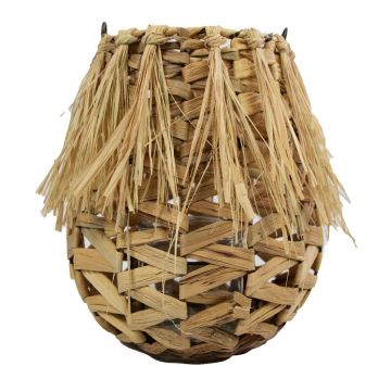 Linterna de fibra natural NATASCIA, jacinto de agua, asa, inserto de cristal, marrón, 27 cm, Ø 17 cm Linterna de fibra natural NATASCIA, jacinto de agua, asa, inserto de cristal, marrón, 27 cm, Ø 17 cm