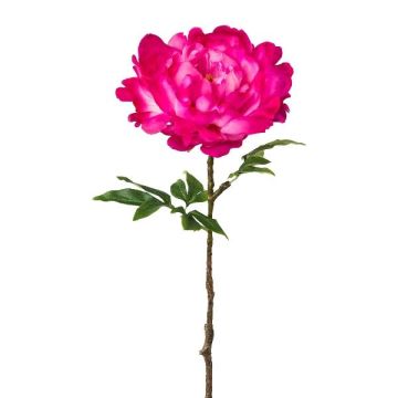 Flor de plástico de peonía GLOUT, fucsia, 65cm