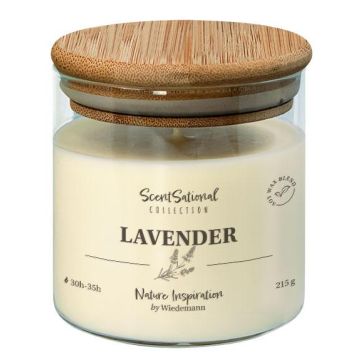 Vela perfumada FERDINANDINE en tarro de cristal, mezcla de cera de soja, lavanda, marfil, 8cm, Ø8cm, 30h - Fabricada en Alemania Vela perfumada FERDINANDINE en tarro de cristal, mezcla de cera de soja, lavanda, marfil, 8cm, Ø8cm, 30h - Fabricada en Alemania