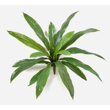 Asplenium artificial JANE, verde, 40 cm