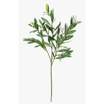 Rama de olivo artificial BRANDAR, verde, 70 cm Rama de olivo artificial BRANDAR, verde, 70 cm