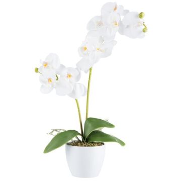 Orquídea Phalaenopsis de tela KRUZBER, maceta de cerámica, raíces, blanca, 55 cm