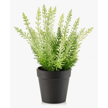 Erica sintética ELSAWO en maceta decorativa, crossdoor, blanco-verde, 30cm