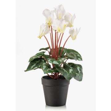 Ciclamen artificial VERIANA en maceta decorativa, blanco-verde, 30cm Ciclamen artificial VERIANA en maceta decorativa, blanco-verde, 30cm