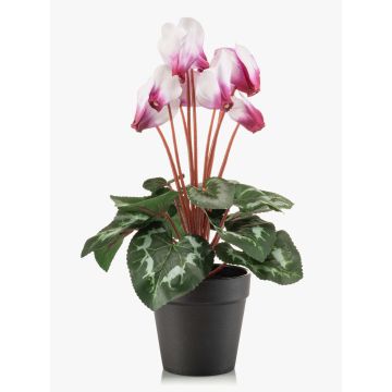 Ciclamen sintético VERIANA en maceta decorativa, blanco-fucsia, 30cm