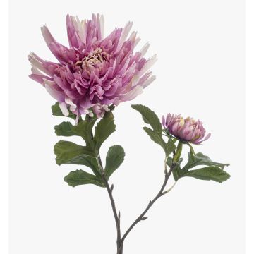 Rama decorativa de dalia KALGER, morada, 75 cm Rama decorativa de dalia KALGER, morada, 75 cm