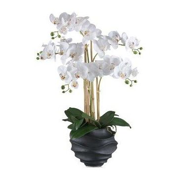 Orquídea Phalaenopsis de tela STONFER, maceta decorativa negra, raíces blancas, 70 cm