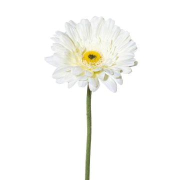 Flor artificial de gerbera VORNEK, blanca, 65cm Flor artificial de gerbera VORNEK, blanca, 65cm