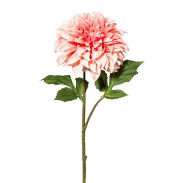 Flor artificial de dalia TRIMK, rosa-melocotón, 55 cm, Ø 15 cm Flor artificial de dalia TRIMK, rosa-melocotón, 55 cm, Ø 15 cm
