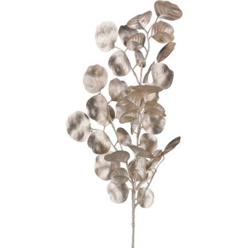 Rama decorativa de eucalipto DRAVEL, champán, 75cm Rama decorativa de eucalipto DRAVEL, champán, 75cm