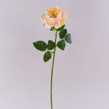 Rosa artificial GINAKAL, color albaricoque, 65 cm Rosa artificial GINAKAL, color albaricoque, 65 cm