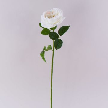 Rosa artificial GINAKAL, blanco crema, 65 cm Rosa artificial GINAKAL, blanco crema, 65 cm