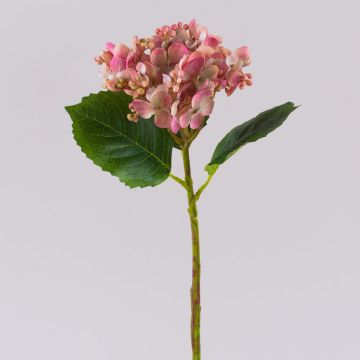 Hortensia sintética MYNMAR, rosa-crema, 35cm, Ø14cm Hortensia sintética MYNMAR, rosa-crema, 35cm, Ø14cm