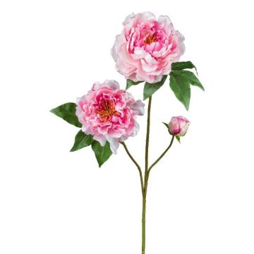 Rama artificial de peonía BROLI, rosa, 80 cm Rama artificial de peonía BROLI, rosa, 80 cm