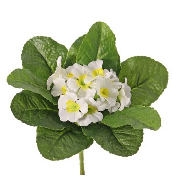 Flor artificial de prímula SUNDARA en varilla, blanca, 20 cm, Ø 4 cm Flor artificial de prímula SUNDARA en varilla, blanca, 20 cm, Ø 4 cm